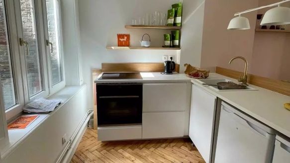 Appartement Lumineux Lille R&eacute;publique Beaux-arts